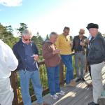 Cambria_0038 (November 04, 2011)